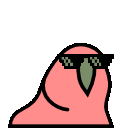 parrot-party