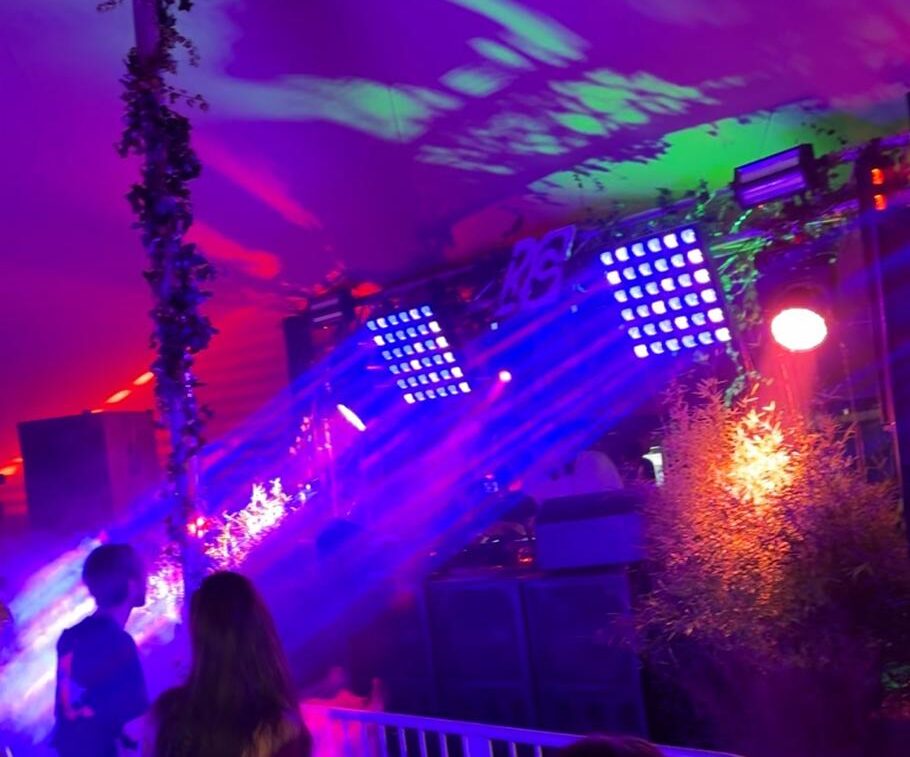 Hochzeits Dj Max Vibe (9)
